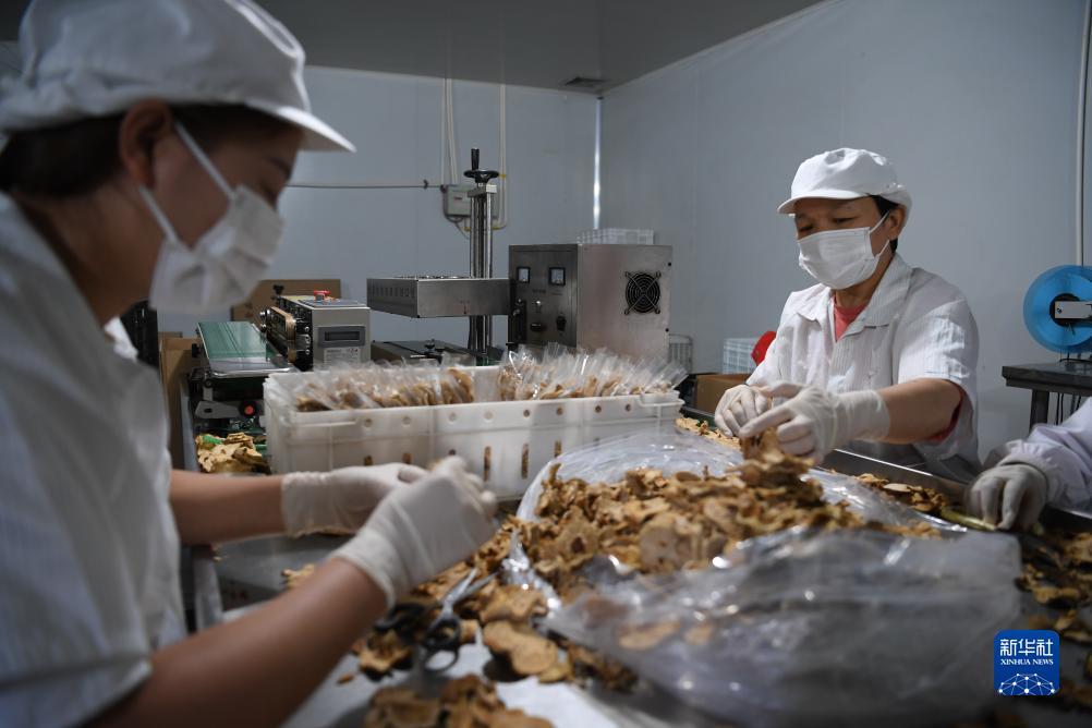 金沙财旺登录